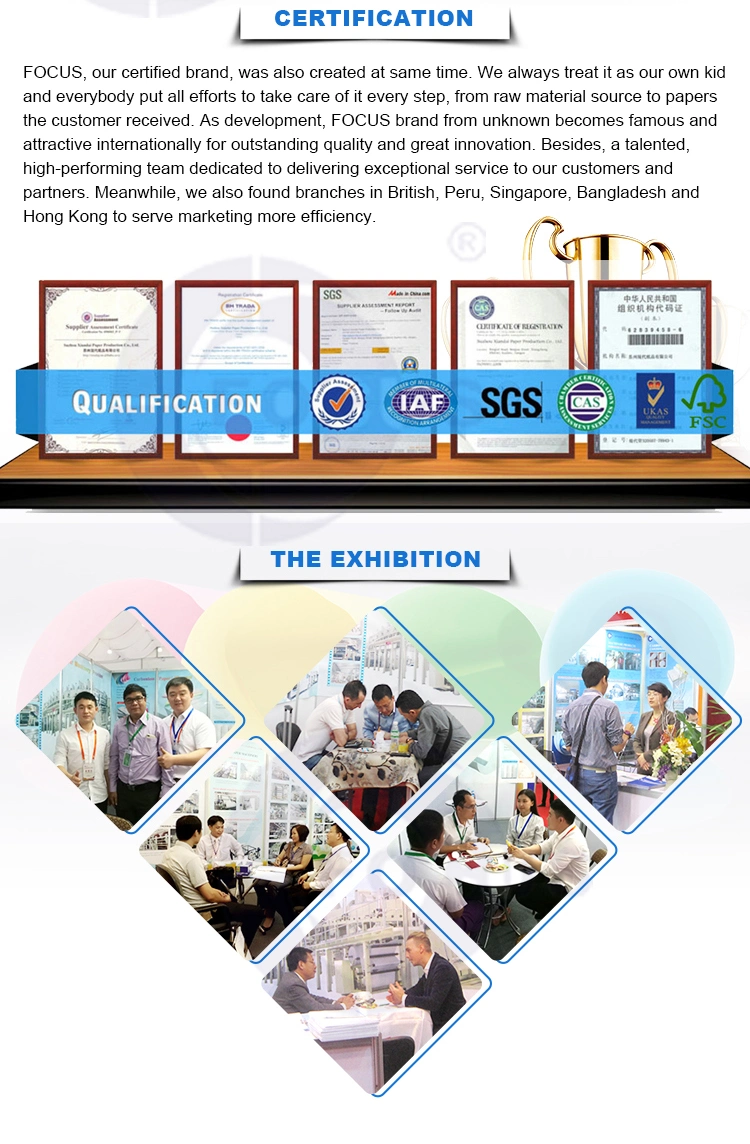 Focus Brand Manufacturer&amp; Supplier Top-Level Glassin Paper