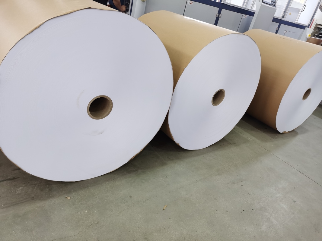 FOCUS Thermal Register Rolls Thermal Receipt Paper Oil Proof Customized