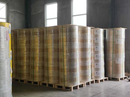 Single Layer Thermal Label Paper Roll For Labeling In Retail And Healthcare