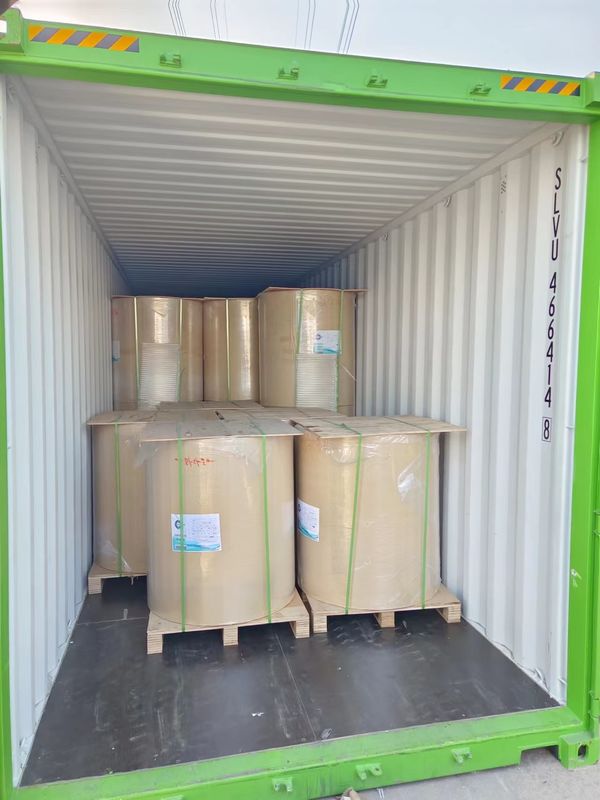 55GSM Thermal Paper Jumbo Roll with Excellent Coating and Smooth Surface for Printing