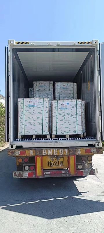 100% Wood Pulp Carbonless Copy Paper Customized Size 43*61 61*86 50/55gsm