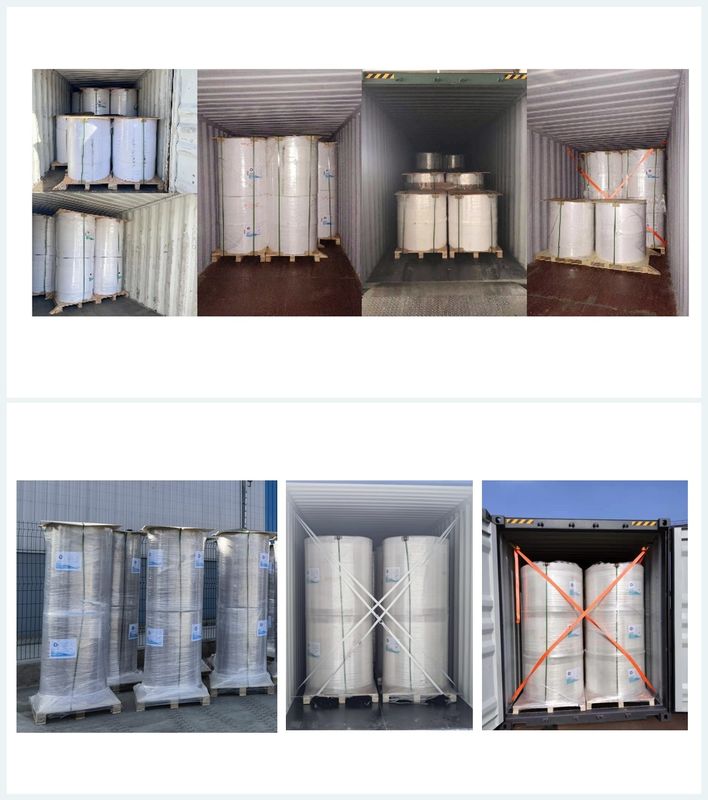 FOCUS Prime 100% Imported Virgin Wood Pulp 45g/48g/50g/55g/65g Thermal Paper Jumbo Rolls