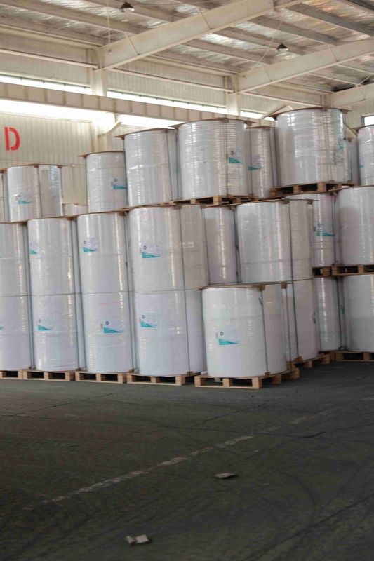 3 1/8 Roll Diameter Jumbo Thermal Paper Roll For Various Models Compatible Model