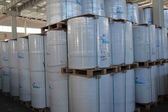 100% आयातित वर्जिन वुड पल्प बीपीए फ्री थर्मल पेपर उच्च चिकनाई मजबूत तनाव लंबा इमेजिंग जीवन