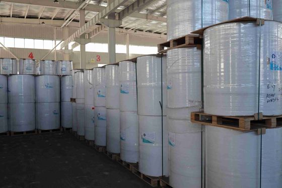 बीपीए फ्री फोकस ब्रांड थर्मल पेपर उच्च चिकनाई उपयुक्त ऑप्टिकल घनत्व 100% आयातित लकड़ी का गूदा